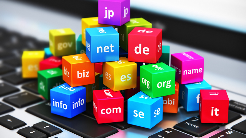dominio web
